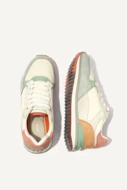 HOFF City - Rome -Elevate Fitwear Sales Store hoff city trainers rome 3